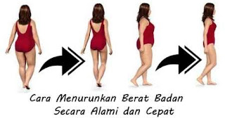 Penurun Berat Badan Penurun Berat Badan