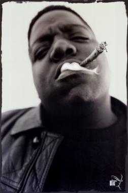 notorious big ready to die album for sale