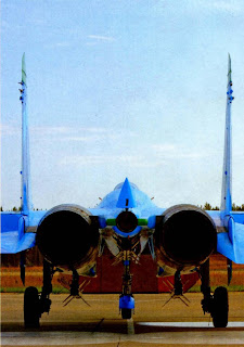 Су-27П, вид сзади Су 27П, вид сзади