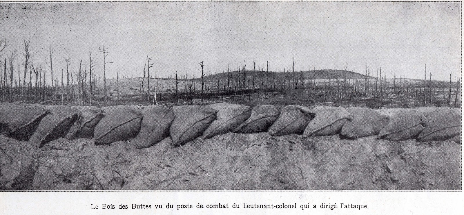 Littérature et Société GUILLAUME APOLLINAIRE, POÈTE DE LA GRANDE