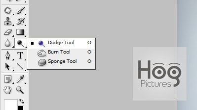 Dodge Tool dan Burn Tool di Adobe Photoshop - Hog Pictures