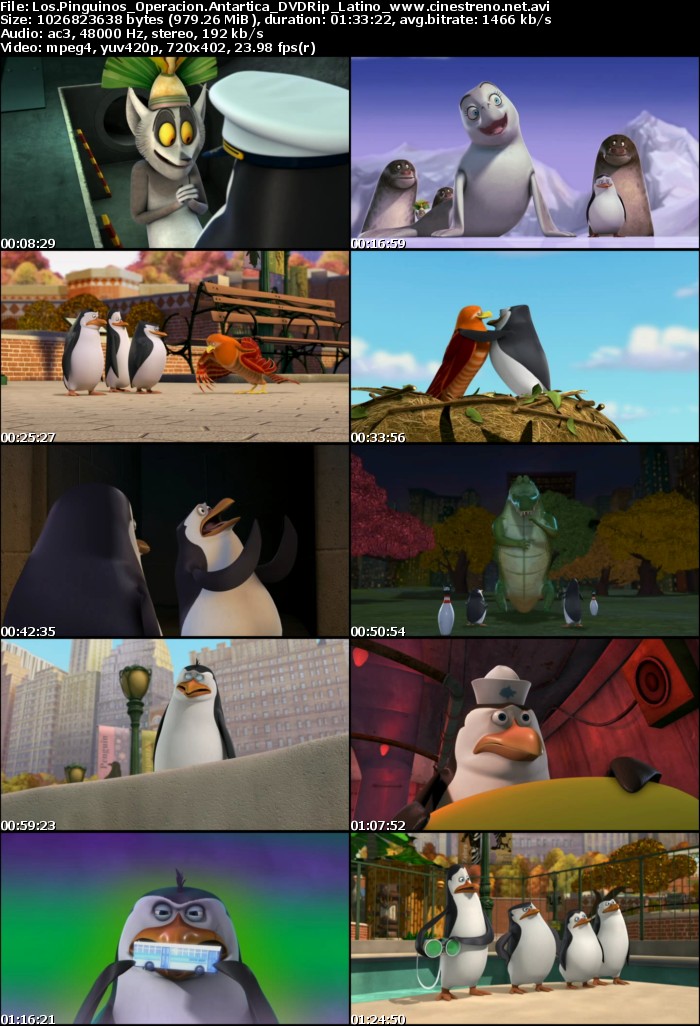 Pinguinos.jpg