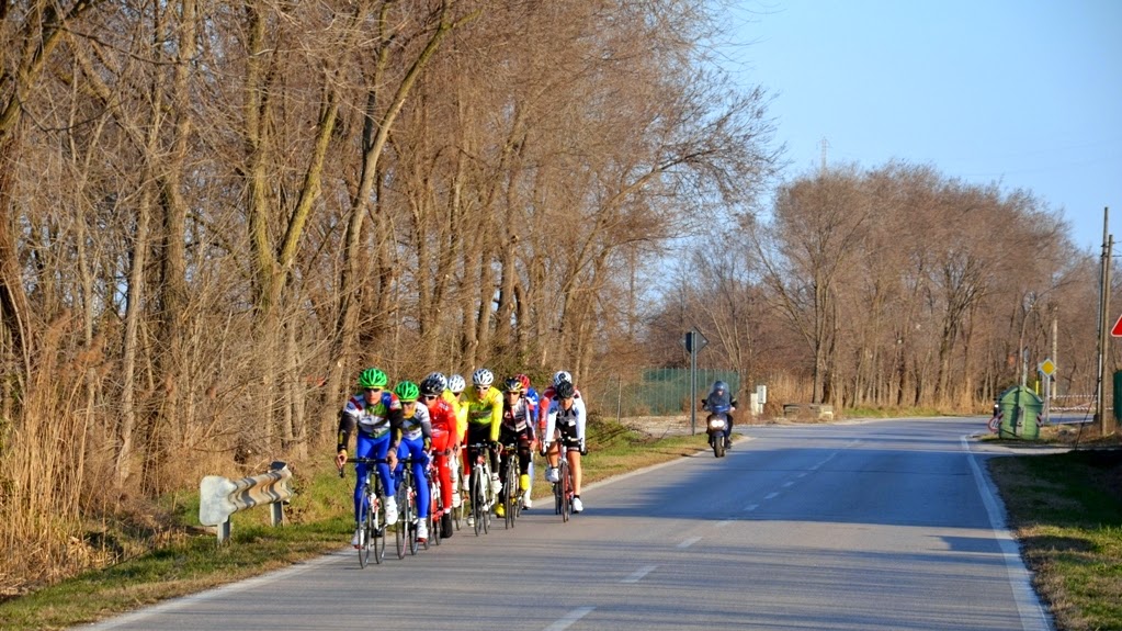 cycling venice bike rental shop