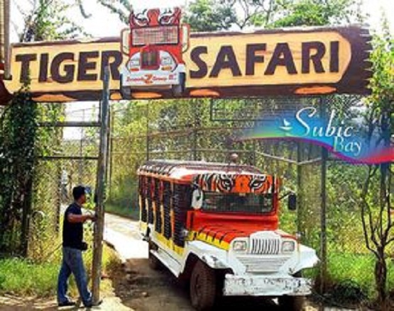 Zoobic Safari in Subic Philippines Zoobic Safari in Subic Philippines