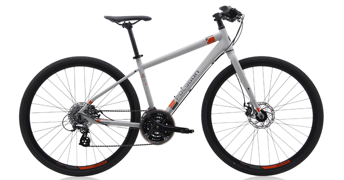polygon path i8 disc