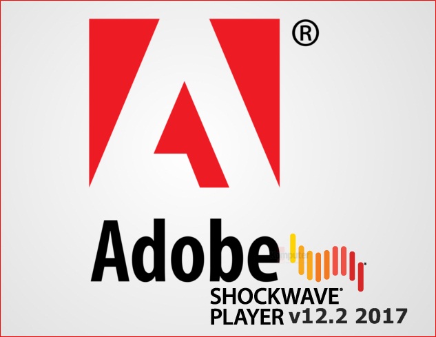 shockwave player shockwave flash player