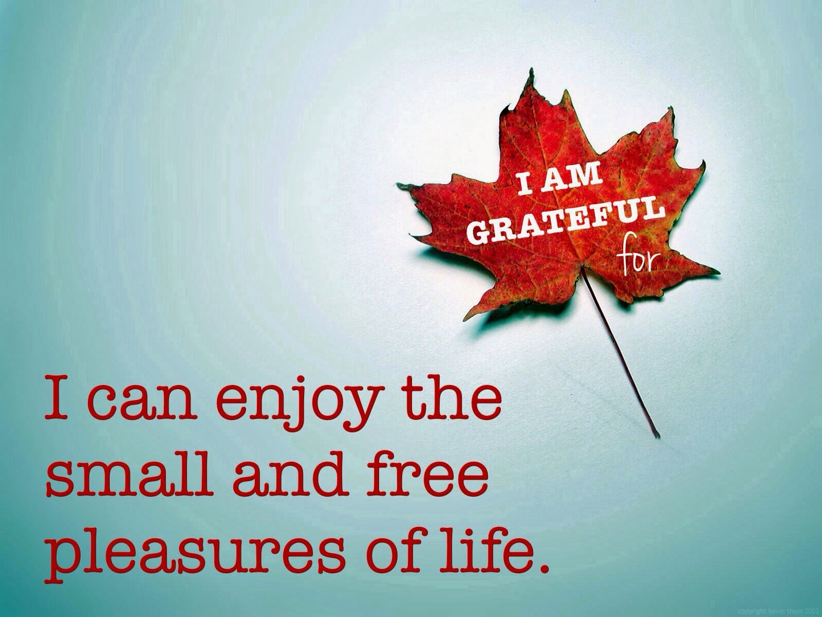 Simple Affirmations for Gratefulness, affirmations for gratitude