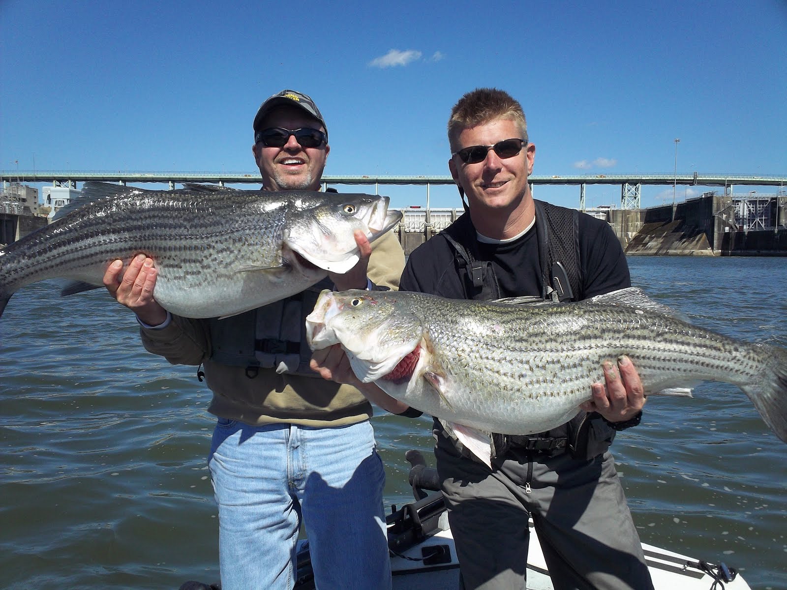 Fish On! Guided Tours. Knoxville, Tn Tennessee Fishing Guide, Knoxville, TN.