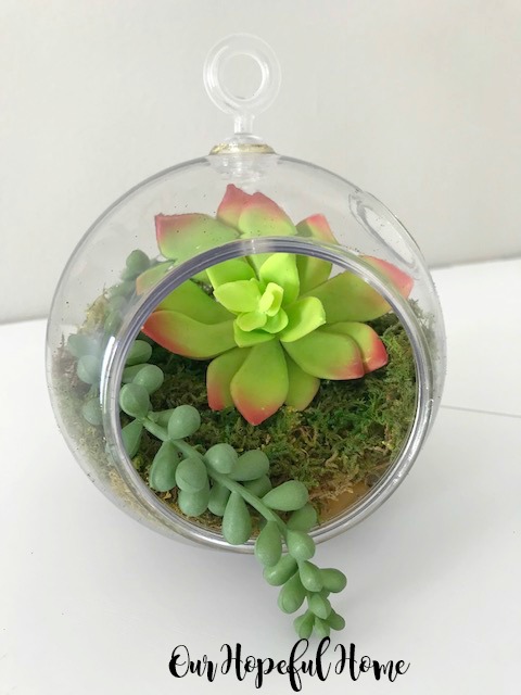 Our Hopeful Home Simple Dollar Tree Diy Succulent Terrariums