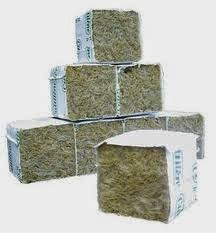 cubi-lana-roccia-germinazione-ebay cubi-lana-roccia-germinazione-ebay