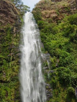 Wli Falls is the highest waterfall in West Africa