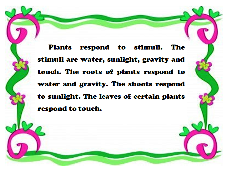 to Miss Ng Science's World 05/18/13