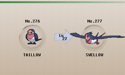 Taillow Evolution Chart