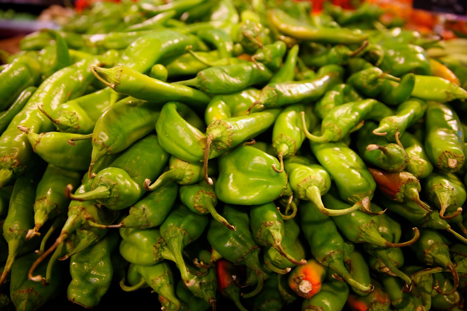 Salvation Sisters Linda's Hatch Chile and Cheese Soufflé (GlutenFree