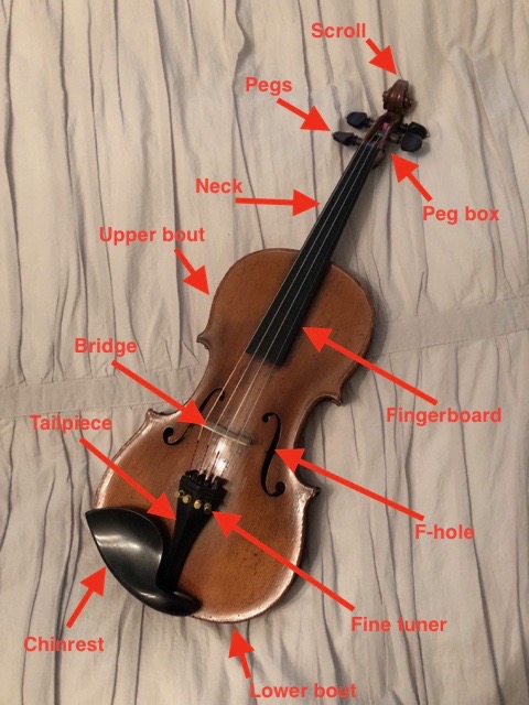 Violin diagram