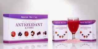 Obat Stroke Amazon Berries Obat Herbal Stroke Amazon Berries