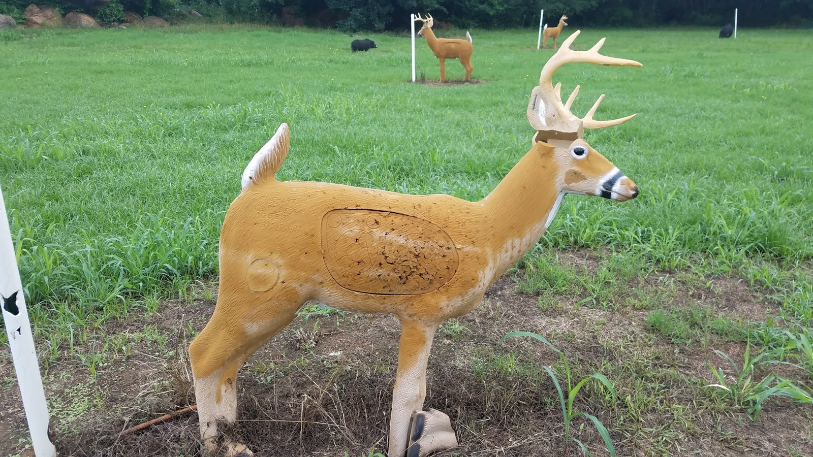 Flat Creek PFA Achery Range Perry