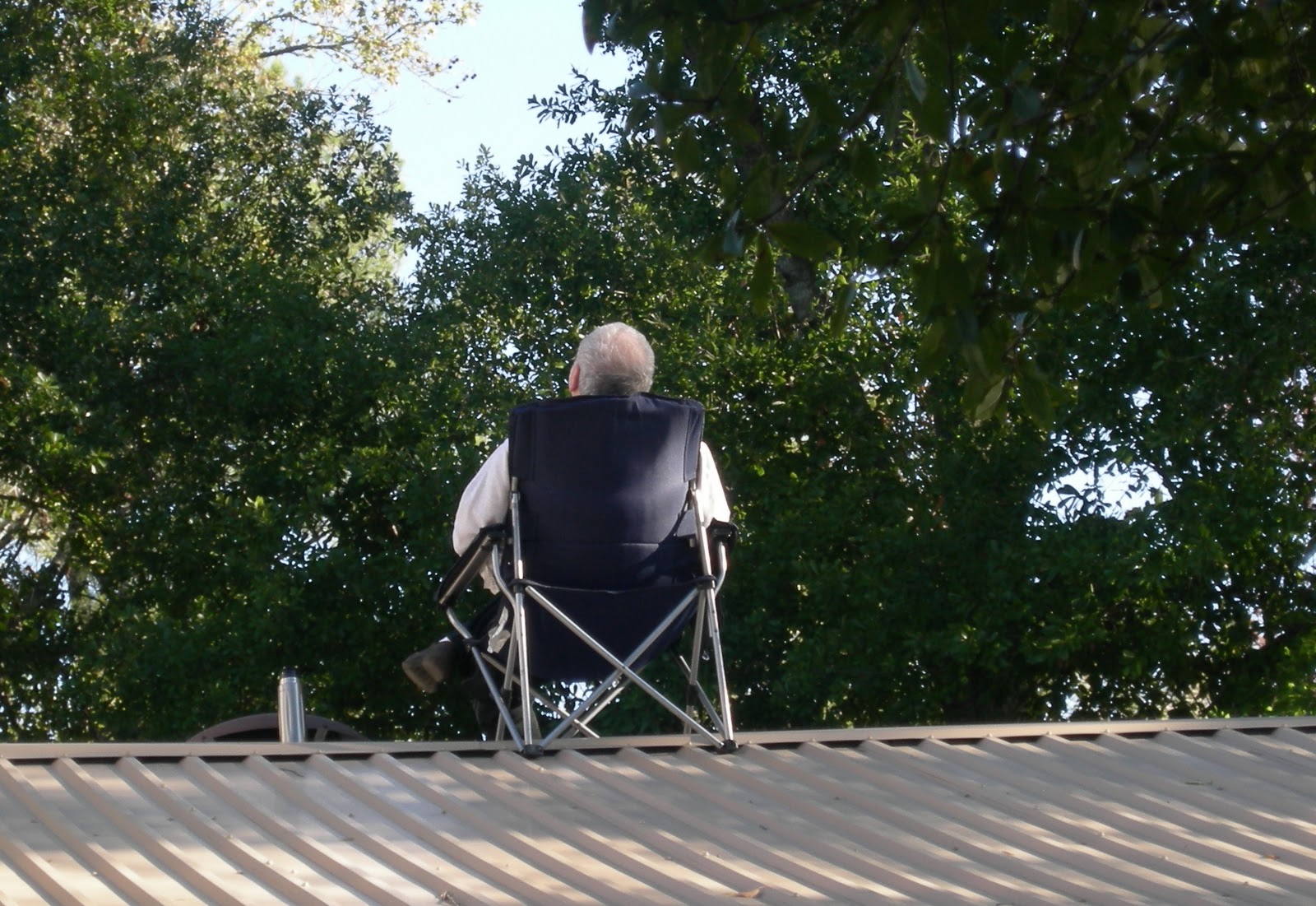 Mark Hayter's Column The ol' pet tree