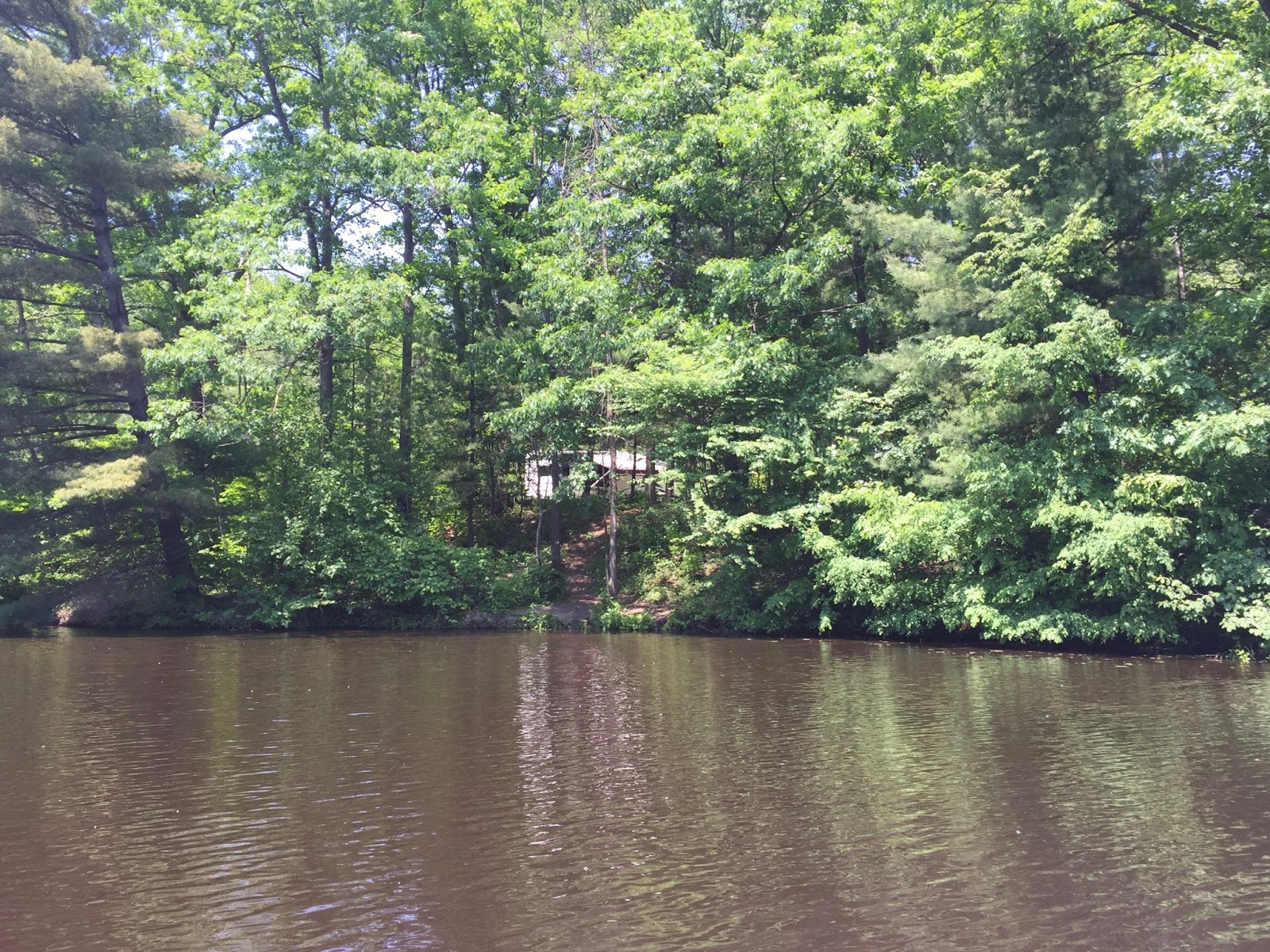 Travel Reviews & Information Midland County, Michigan / Black Creek