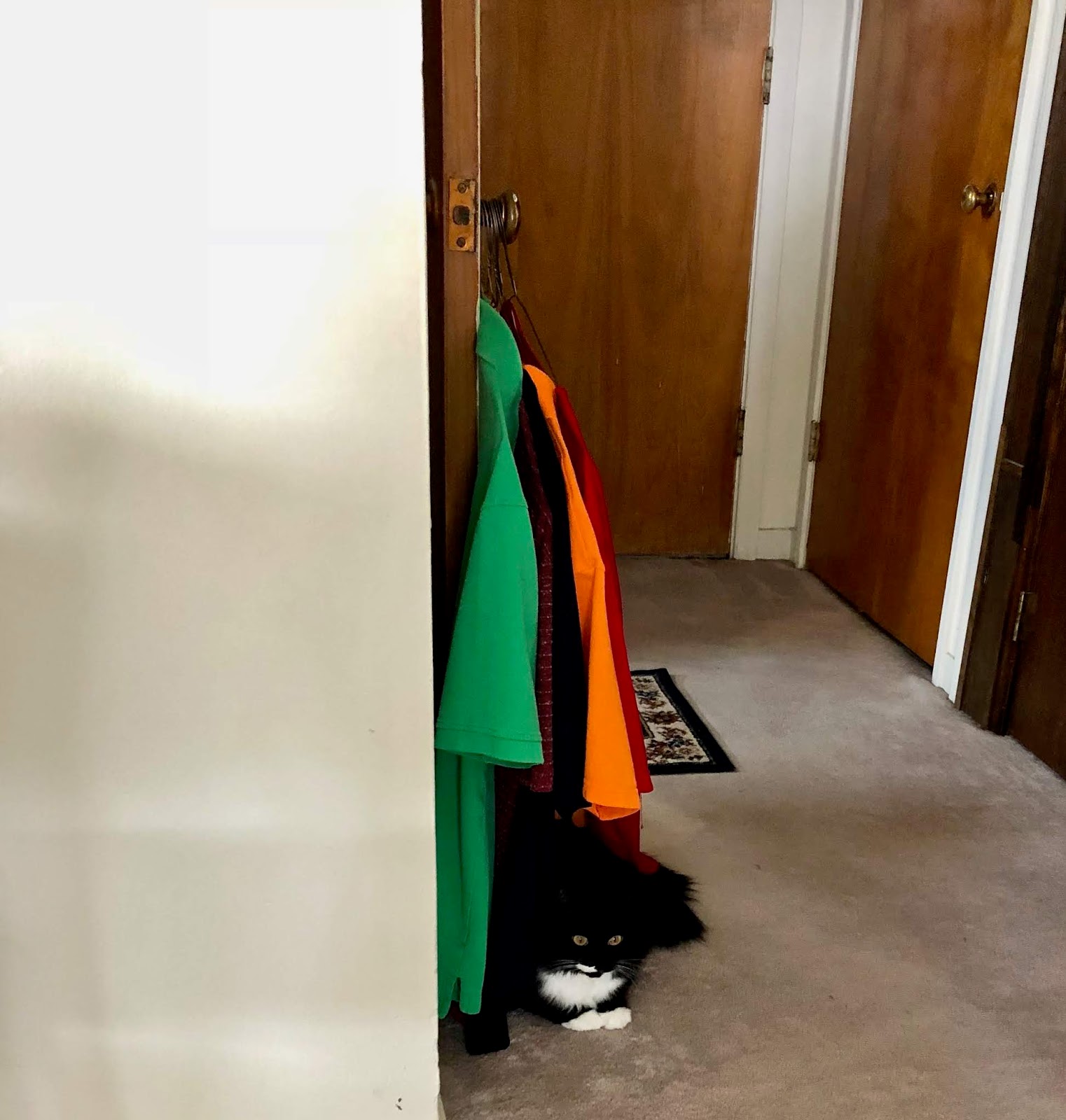 Katie Isabella New Hiding And Warming Place