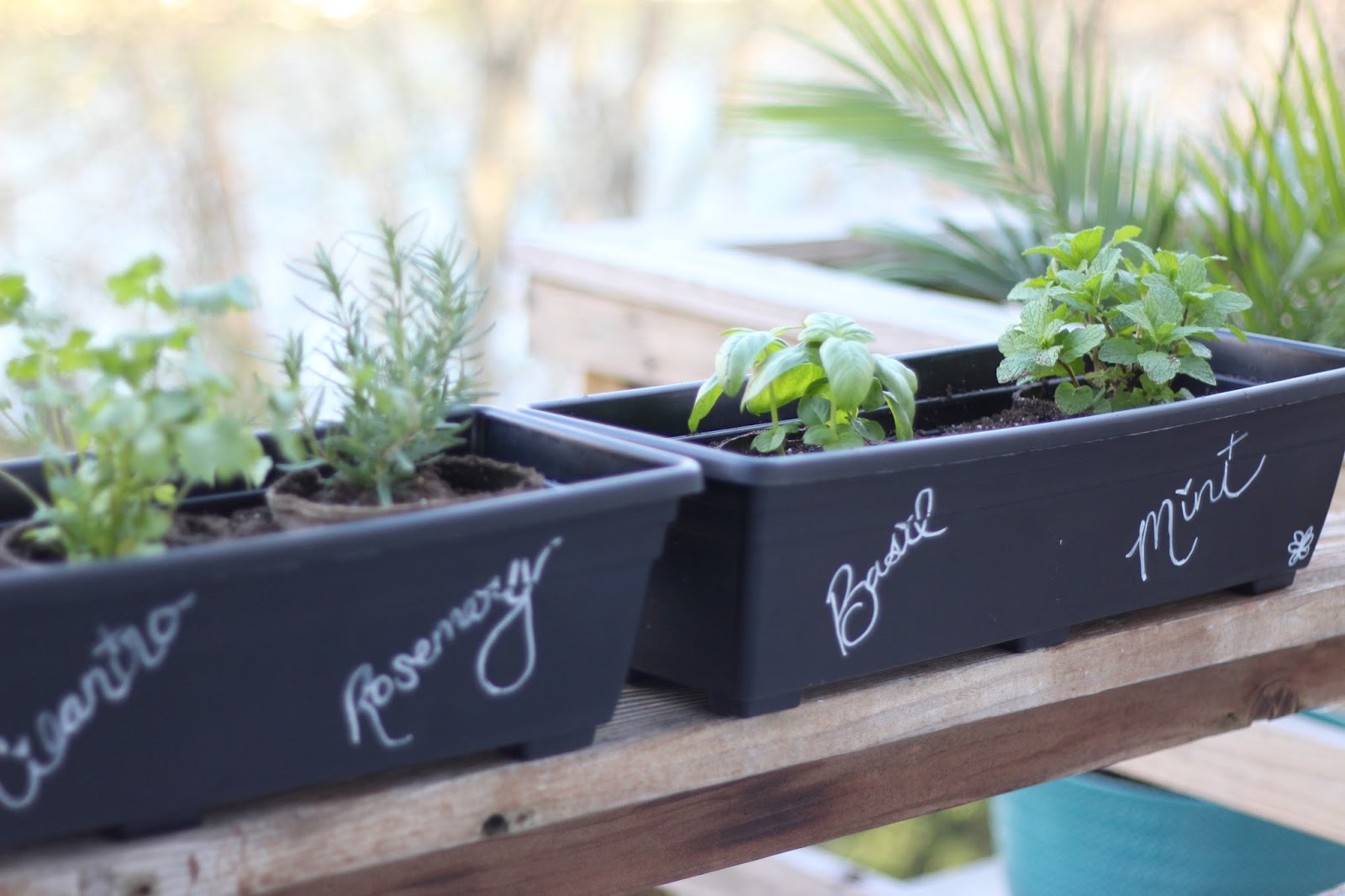Rose & Co Blog: Our DIY Herb Garden