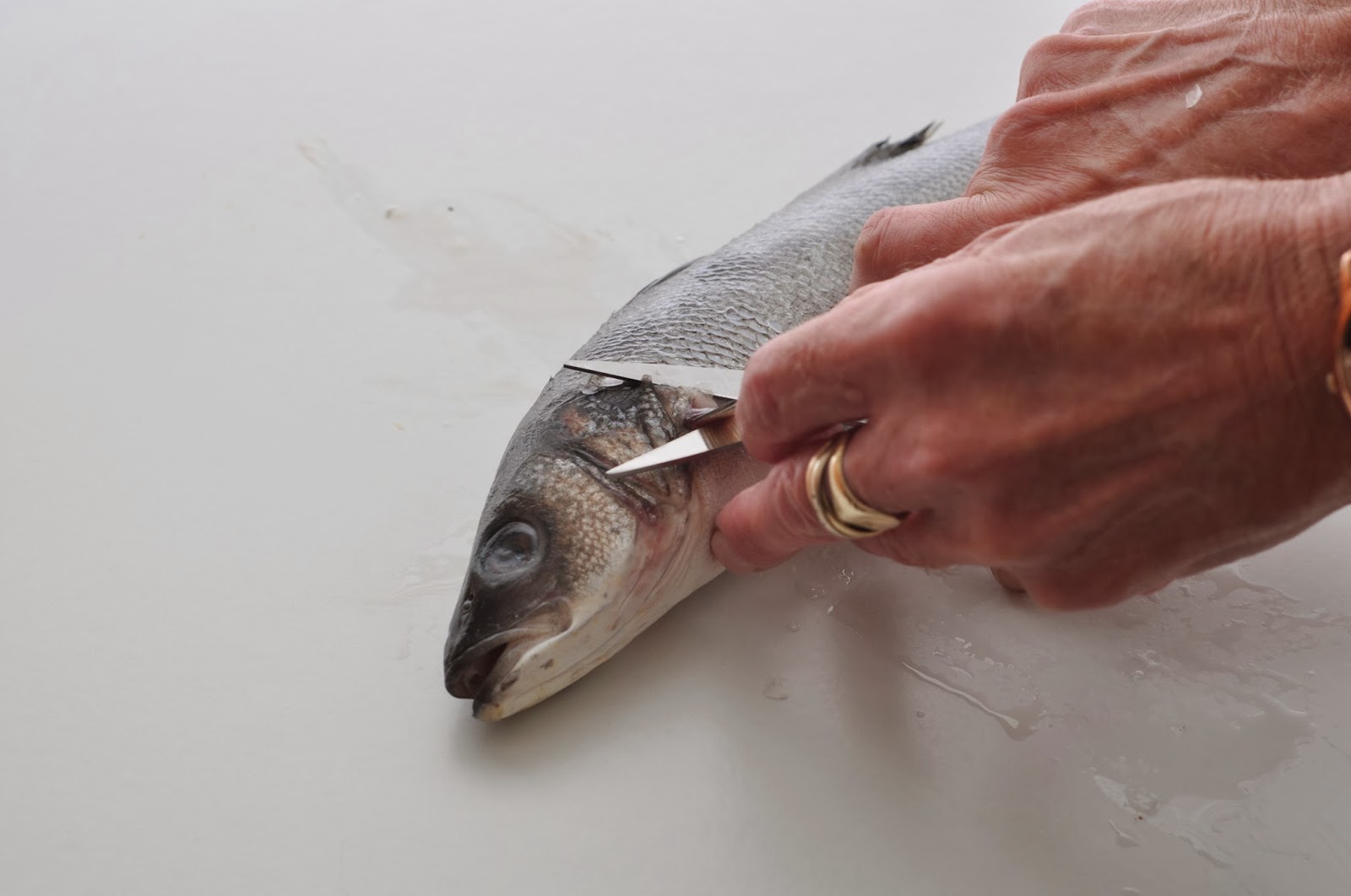 Simple Food: Sea Bass, How to Prepare For Pan Frying
