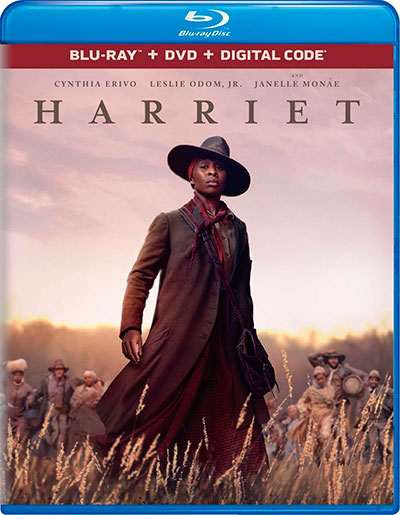 Harriet (2019) 1080p BDRip Dual Latino-Inglés [Subt. Esp] (Drama)