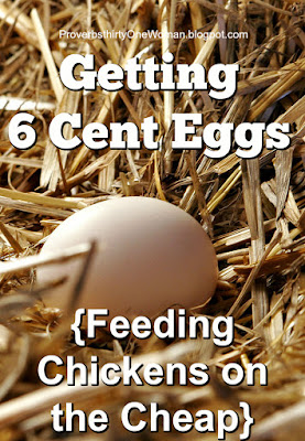 Getting 6 Cent Eggs