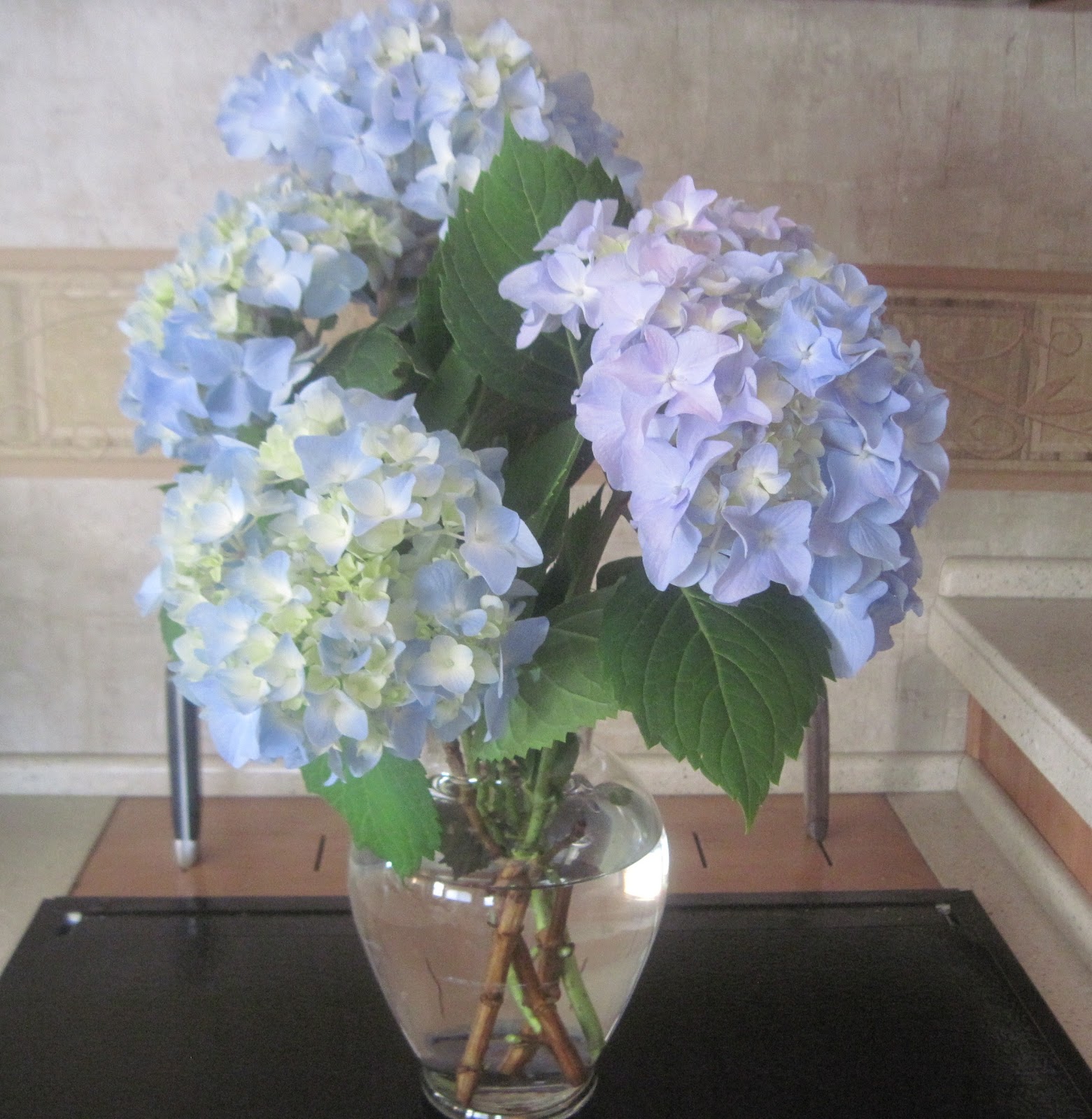 The Schramm Journey Omaha, Nebraska Mother's Day