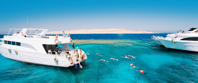 Red Sea Tours 
