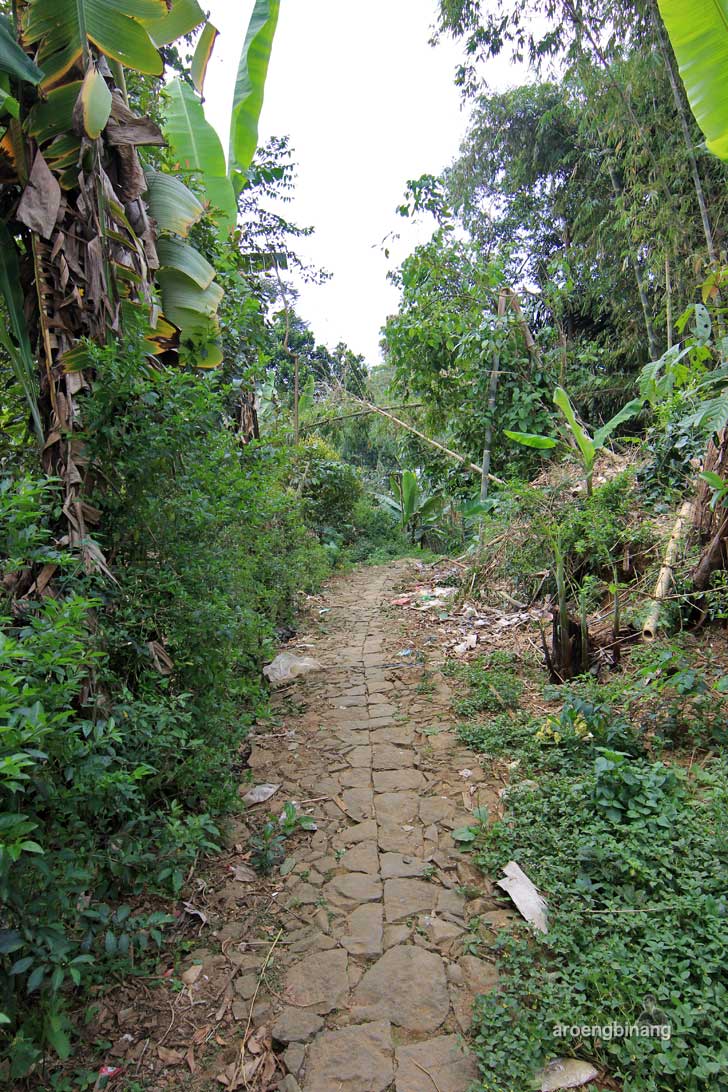 kayu jlamprang wonobodro batang