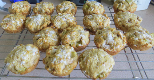 rhubarb muffins