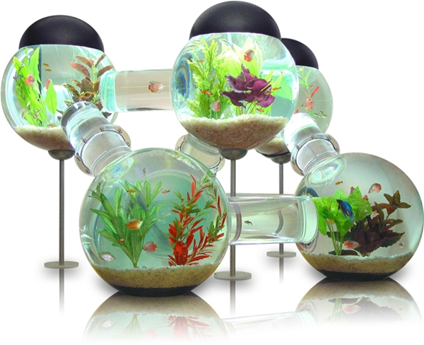Bio Evolve, Bio EvolveTM Water Purification System, water filter, penuras air, air selamat diminum, penapis air murah, penapis air selamat, penapis air jimat tenaga, byrawlins Bio Evolve, Bio EvolveTM Water Purification System, water filter, penuras air, air selamat diminum, penapis air murah, penapis air selamat, penapis air jimat tenaga, byrawlins