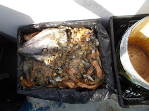 "FOOD" prepared for attracting the "Great White Shark" to our boat.