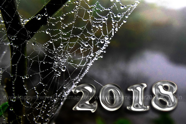 Happy New Year 2018 Shayari image Happy New Year 2018 Shayari image