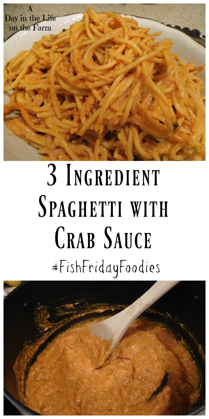 A Day in the Life on the Farm 3 Ingredient Spaghetti with Crab Sauce 