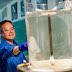 Low-tech,cheap solutions to improve water quality