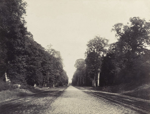 Le pavé de Chailly, Forêt de Fontainebleau, Eugène Cuvelier photographe.