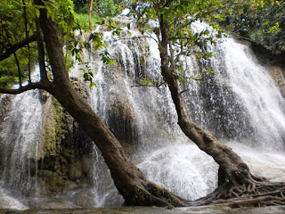 PELANG - TRENGGALEK PELANG - TRENGGALEK