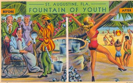 Vintage postcard, St. Augustine, Fla.