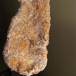 BEAVER TAILS (COLAS DE CASTOR)