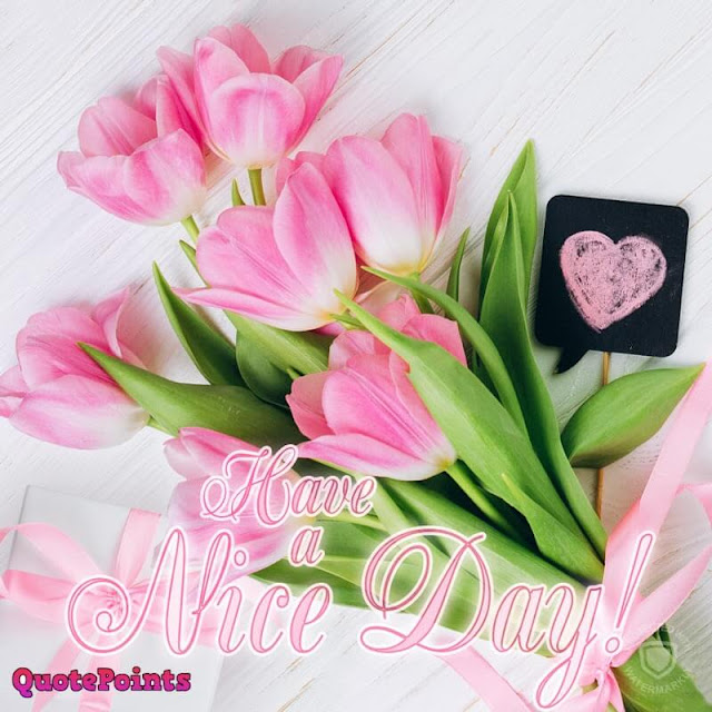 good morning images with flowers hd good morning images with flowers hd
