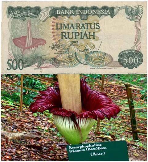 uang kertas 500 rupiah uang kertas 500 rupiah