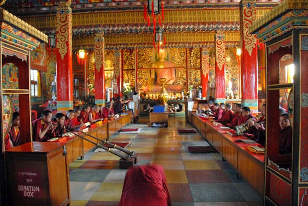 Monks at Shechen Monastery