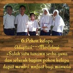 Adaftasi Makhluk Hidup