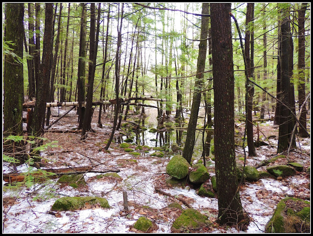 Pawtuckaway State Park en New Hampshire