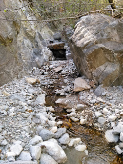 California Local Trout Fishing Water Repor - Hunting the River King