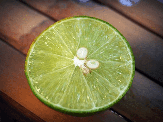 jeruk lemon