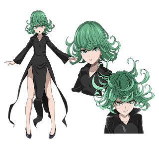 Mengenal 17 Hero kelas S ONE PUNCH MAN Kelas S yakni kelas paling tinggi dalam tingkatan Mengenal 17 Hero kelas S ONE PUNCH MAN