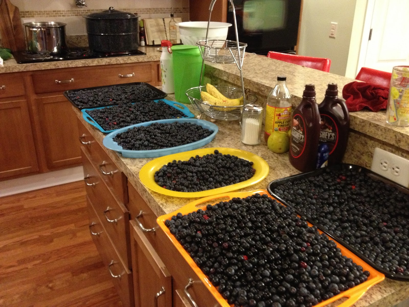 FLIP FLOPS AND POPTARTS : Blueberries, Blueberries, Blueberries ...
